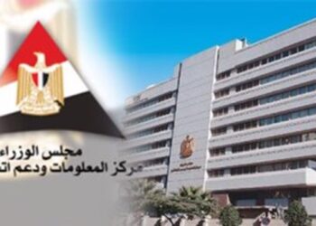 Egypt exerts efforts to encourage, support innovation in different domains: Cabinet