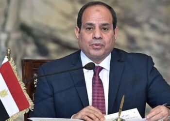 NACDW: Execution of social protection plan lasts till end of 2022