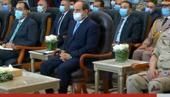 Sisi witnesses start of wheat harvest season in Toshka