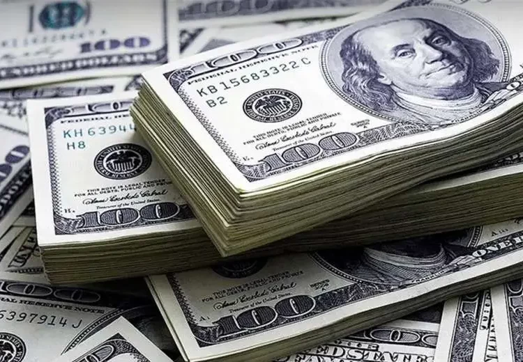 Dollar exchange rate stable at most of Egypt banks 2 - Egyptian Gazette Dollar exchange rate stable at most of Egypt banks 1 - Egyptian Gazette