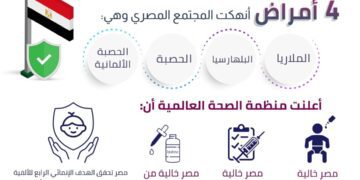 Cabinet: Egypt to be free from four diseases in 2022