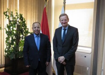 Egypt works to cement co-op. with partners on green economy
