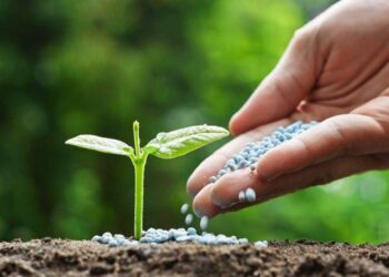 Analysis: Global tensions are a boon for local fertiliser sector