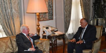 Egypt FM, EU envoy confer on national efforts to boost human rights