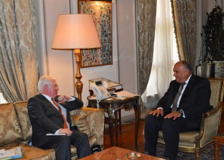 Egypt FM, EU envoy confer on national efforts to boost human rights 1 - Egyptian Gazette