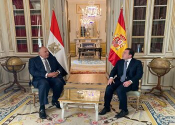 Egyptian, Spanish FMs praise growing bilateral co-operation