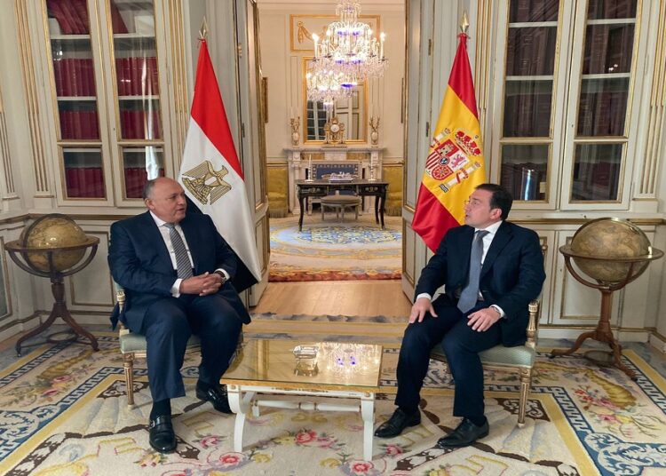 Egyptian, Spanish FMs praise growing bilateral co-operation 1 - Egyptian Gazette