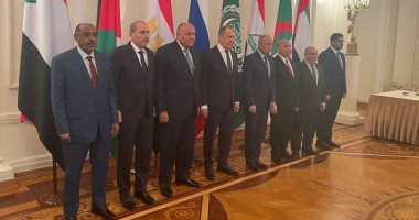 Shoukry: Arab states realise repercussions of Russia-Ukraine crisis for int'l peace, security 13 - Egyptian Gazette Shoukry: Arab states realise repercussions of Russia-Ukraine crisis for int'l peace, security 12 - Egyptian Gazette