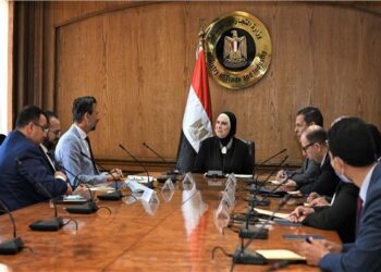 ‘Egyptian market has all potentials to become regional auto industry hub’