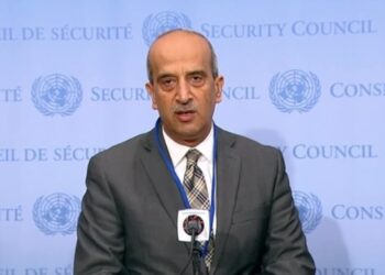 Egypt’s delegate to UN warns against continued attempts to judaize Easter Jerusalem