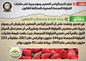 Cairo: No mandatory fees imposed on Egypt’s frozen strawberry exports