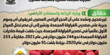 Cairo: No mandatory fees imposed on Egypt's frozen strawberry exports 1 - Egyptian Gazette Cairo: No mandatory fees imposed on Egypt’s frozen strawberry exports