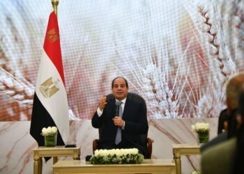 Egypt’s President holds open dialogue with journalists, media men