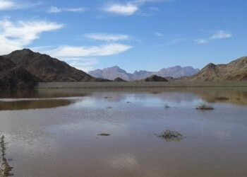 `Project of water transfer from Bahr al-Baqar plant to Sinai underway`