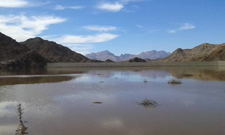 `Project of water transfer from Bahr al-Baqar plant to Sinai underway` 2 - Egyptian Gazette `Project of water transfer from Bahr al-Baqar plant to Sinai underway` 1 - Egyptian Gazette