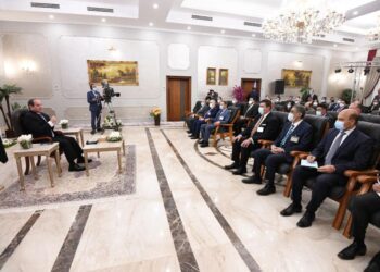 Sisi: Economic reform enabled state to be more capable of facing economic crises