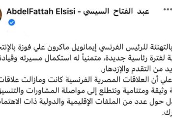 Sisi congratulates Macron on re-election