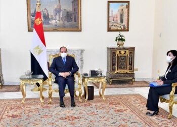 Sisi stresses importance of child literature for future generations