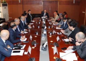 IDA head, Industrial Organisation New Cairo review industrial investment development