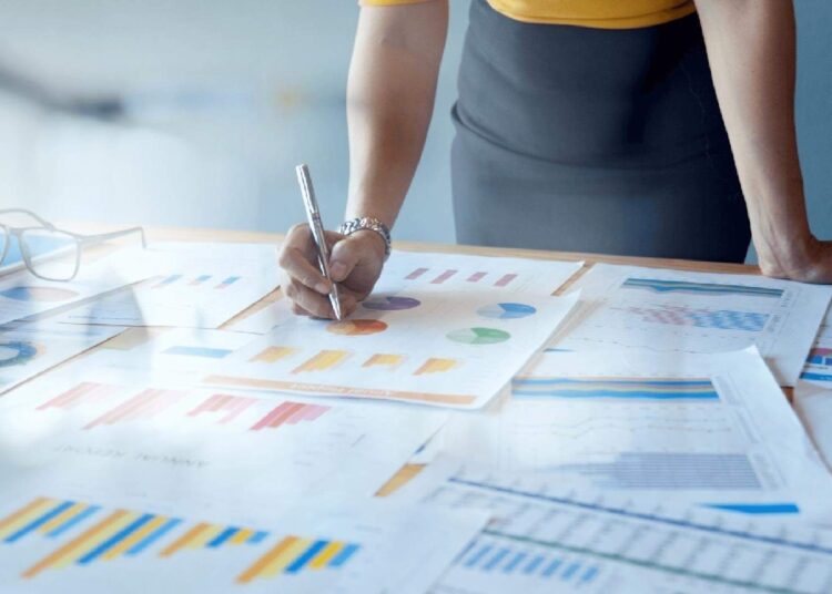 Analysis: Accounting for boosting governance, sustainable development 1 - Egyptian Gazette