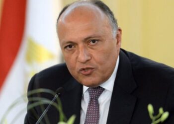 Shoukri to head to Washington for strengthening bilateral consultation