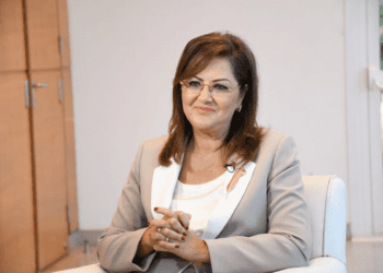 ‘Establishing integrated gov’t service center in Aswan completed’