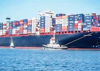 25 container, cargo ships handled at Damietta Port