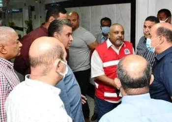 10 killed, 14 injured in traffic collision on Abu Simbel-Aswan road – Health