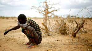 US provides US$114 million to African countries to fight drought