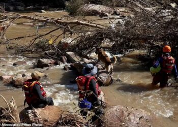 African wildlife, coasts suffer effects of flooding, drought