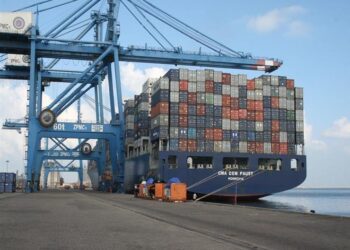 30 container, cargo ships handled at Damietta Port 5 - Egyptian Gazette
