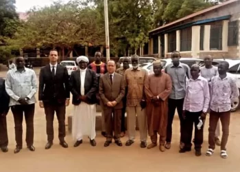 Egypt keen on providing all possible support for S. Sudan, says amb.