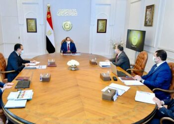 Sisi calls for maintaining efforts to achieve financial discipline in general budget