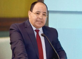 Egypt calls for Arab hedging plan against external shocks