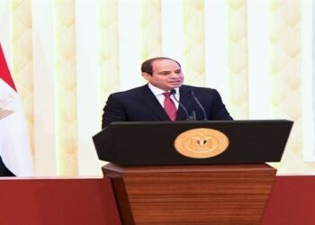 Sisi: Religious discourse one of important elements to face extremist ideology