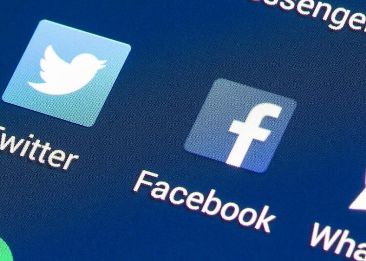 Twitter takeover gives the Mastodon social network a boost 1 - Egyptian Gazette