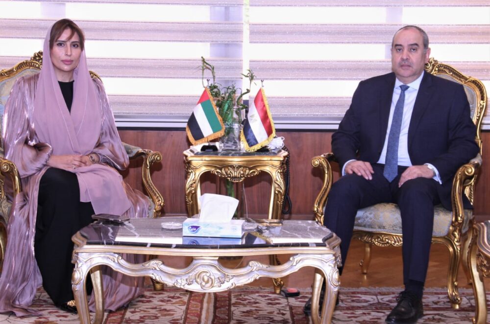 Further co-operation with UAE in civil aviation 4 - Egyptian Gazette