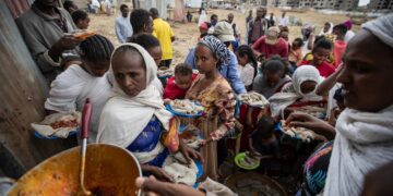 UN rejects Ethiopian attempt to deny funds for Tigray probe 1 - Egyptian Gazette UN rejects Ethiopian attempt to deny funds for Tigray probe