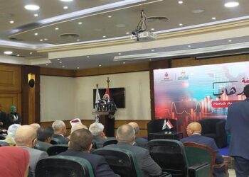 Sisi directs carrying out scientific research on terrorism cost :minister