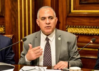 Irrigation minister: Egypt keen on supporting development process in all African states