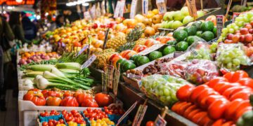 Egypt food exports reach $625 m in first two months of 2022 1 - Egyptian Gazette Egypt food exports reach $625 m in first two months of 2022