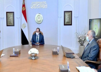 Sisi urges expanding use of new irrigation systems