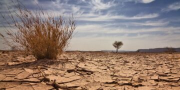 WB grants Niger 250 million dollars to face climate change 1 - Egyptian Gazette WB grants Niger 250 million dollars to face climate change