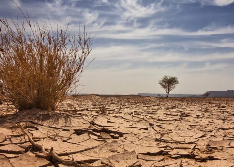WB grants Niger 250 million dollars to face climate change 1 - Egyptian Gazette