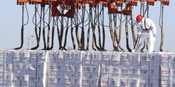 China to cut paper and wood tariffs from New Zealand from April 7 1 - Egyptian Gazette China to cut paper and wood tariffs from New Zealand from April 7