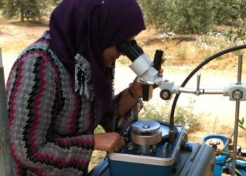 ‘Never give in to despair’