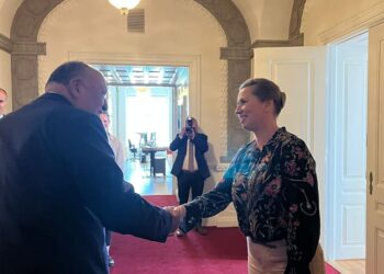 Shoukri partakes in ministerial meeting on climate commitments