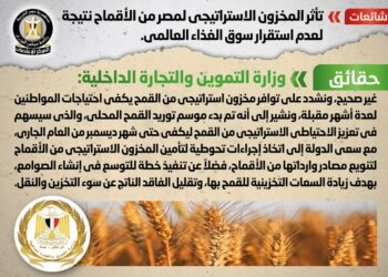 Gov’t: Egypt’s wheat reserves not affected by instability of int’l food market