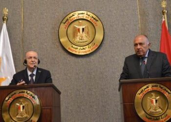 Shoukry meets with Cypriot FM