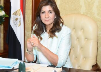 ‘President Sisi pays great attention to backing national industry’
